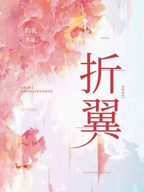 折翼封面