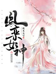 凤栾神女封面