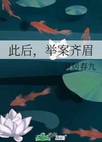 此后，举案齐眉封面