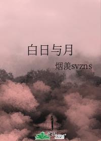 白日与月封面
