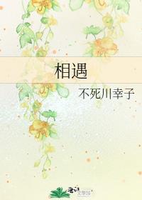 相遇封面