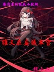 谁又在妄议本宫封面