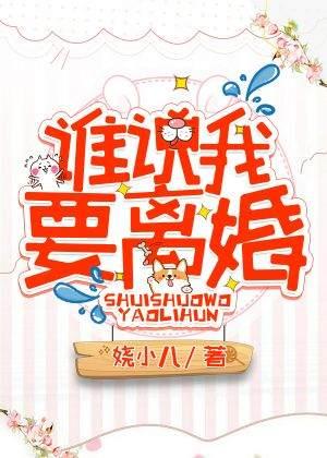 谁说我要离婚封面