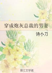 穿成炮灰总裁的男妻封面