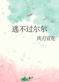 逃不过尔尔封面
