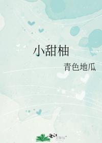 小甜柚封面