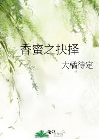 香蜜之抉择封面