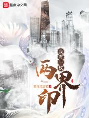 我有一枚两界印小说无删减封面