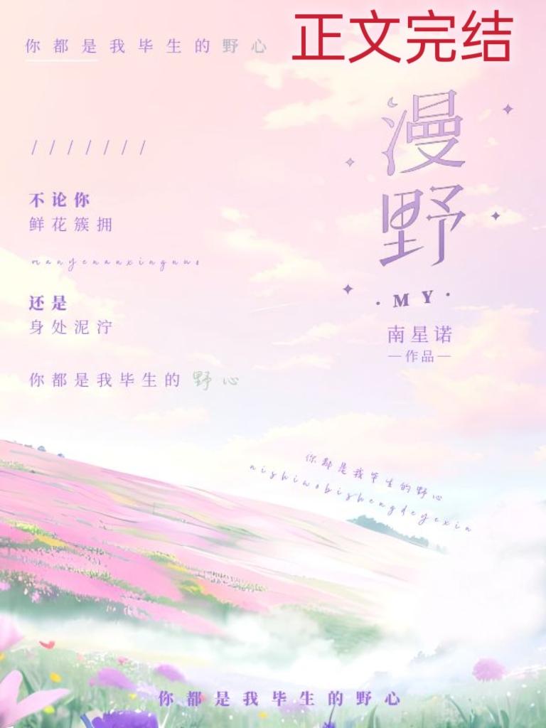 漫野封面