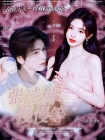 张凌赫：慢慢等封面