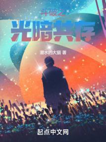 斗破之光暗共生封面