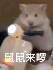 我是拉普兰德养的鼠鼠！封面