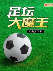 足坛大魔王封面