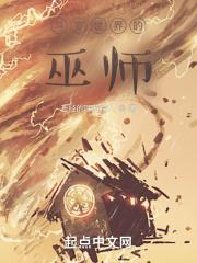 斗罗世界的巫师封面