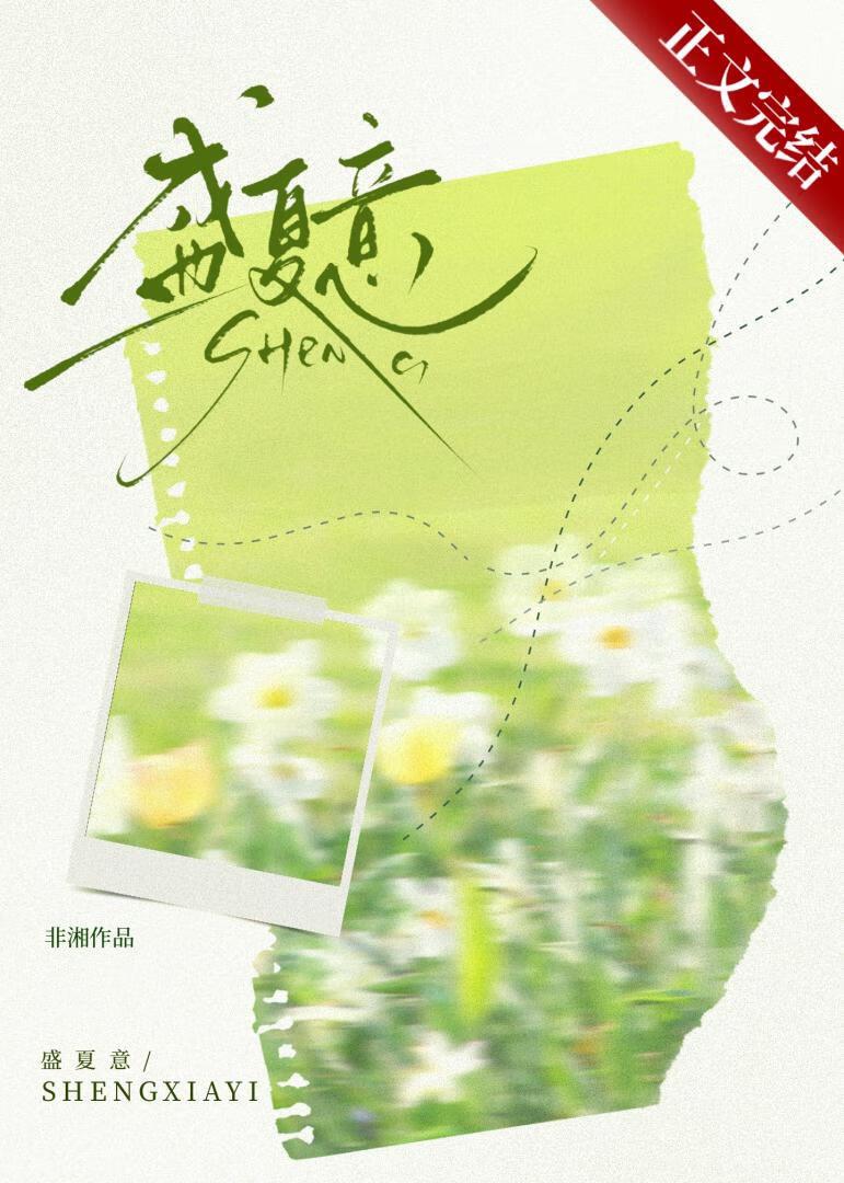 盛夏意封面