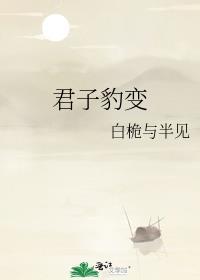 君子豹变封面