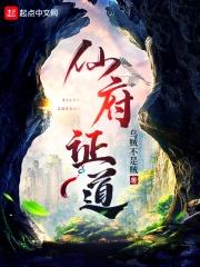 仙府证道封面