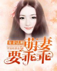 宠妻法则：萌妻要乖乖封面