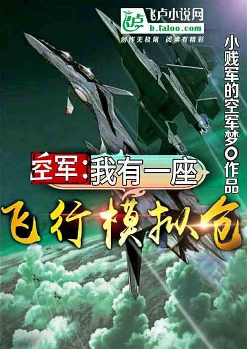 空军：我有一座飞行模拟仓封面