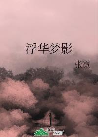 浮华梦影封面