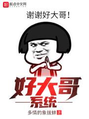 好大哥系统封面
