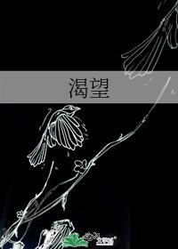 渴望封面