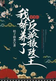 穿书后，我娇养了反派摄政王棠鲤卫擎封面
