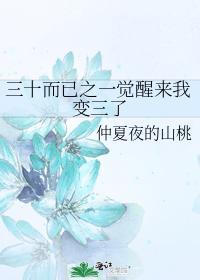 三十而已之一觉醒来我变三了封面