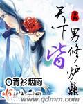 天下男修皆炉鼎封面