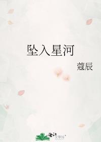 坠入星河封面