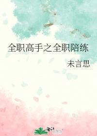 全职高手之全职陪练封面
