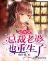 超可爱总裁老婆也重生了封面