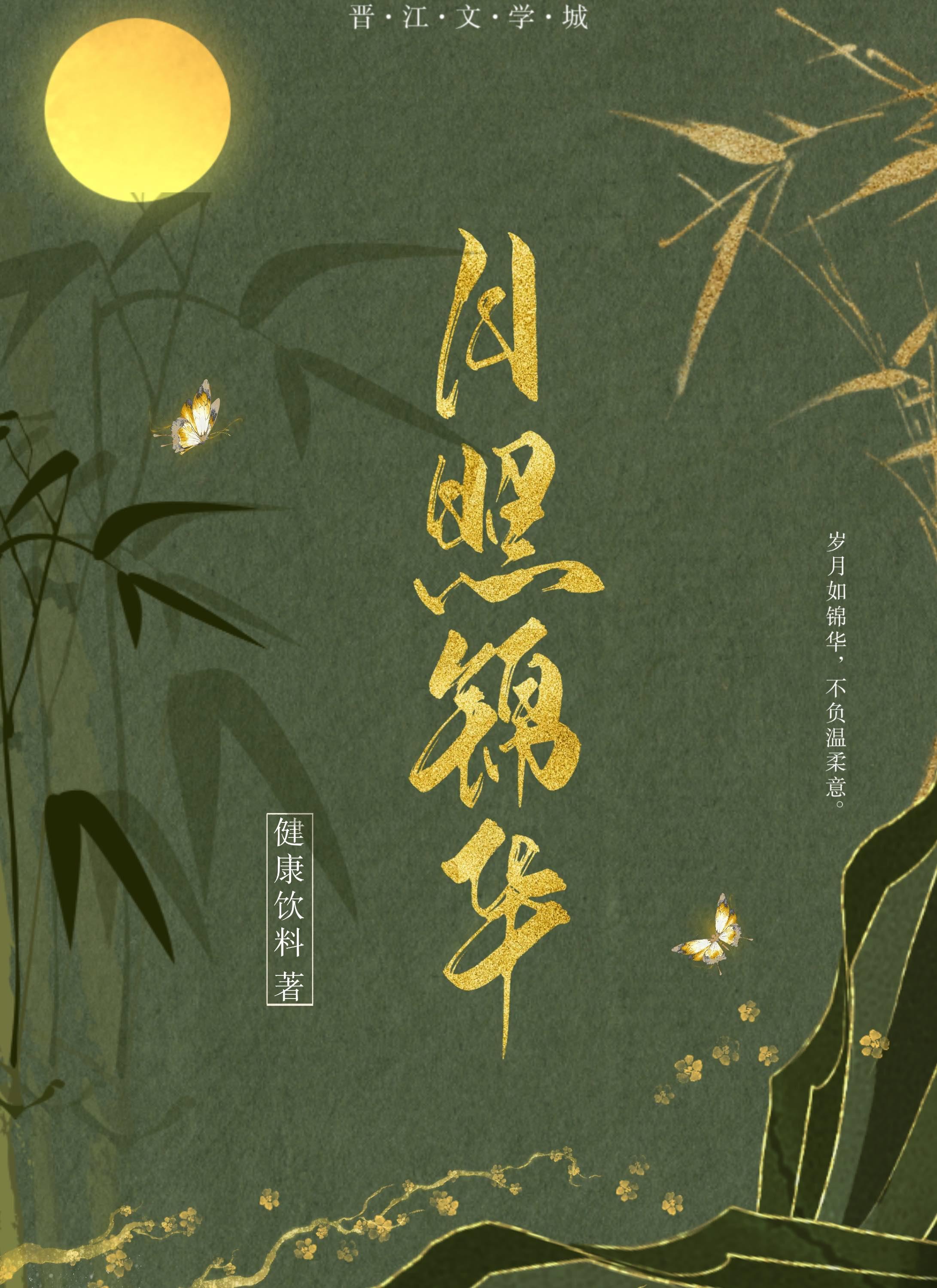 月照锦华封面