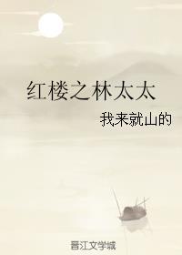 红楼之林太太封面