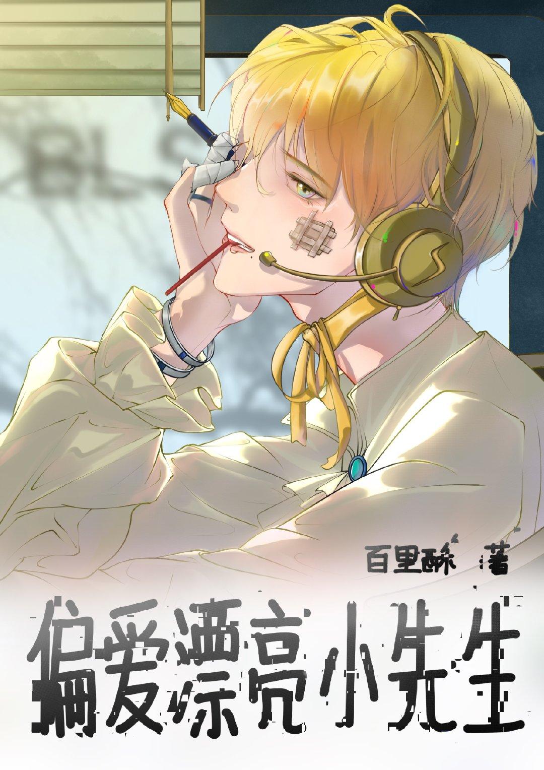 偏爱漂亮小先生封面