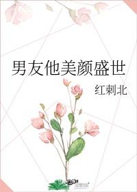 男友他美颜盛世封面