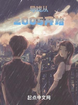 导戏从2005开始封面