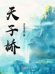 天子娇封面