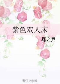 紫色双人床封面