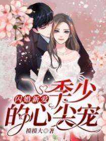 季少的心尖宠封面