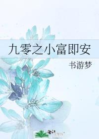 九零之小富即安封面