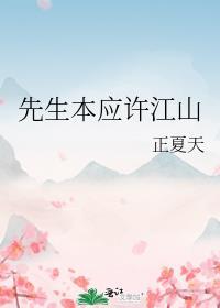 先生本应许江山封面