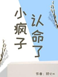 小疯子认命了封面