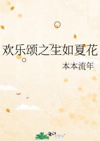欢乐颂之生如夏花封面
