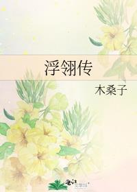 浮翎传封面