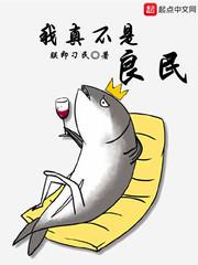 陆安禾厉成扉的小说叫什么名字封面