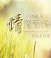 情深至浅（军旅高干）封面