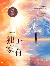 独家占有封面