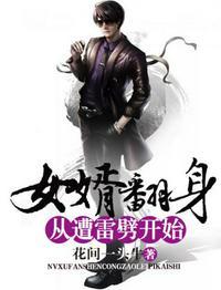 女婿翻身从遭雷劈开始封面