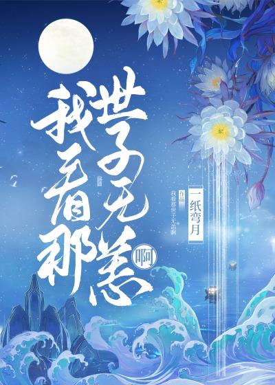 见岁封面